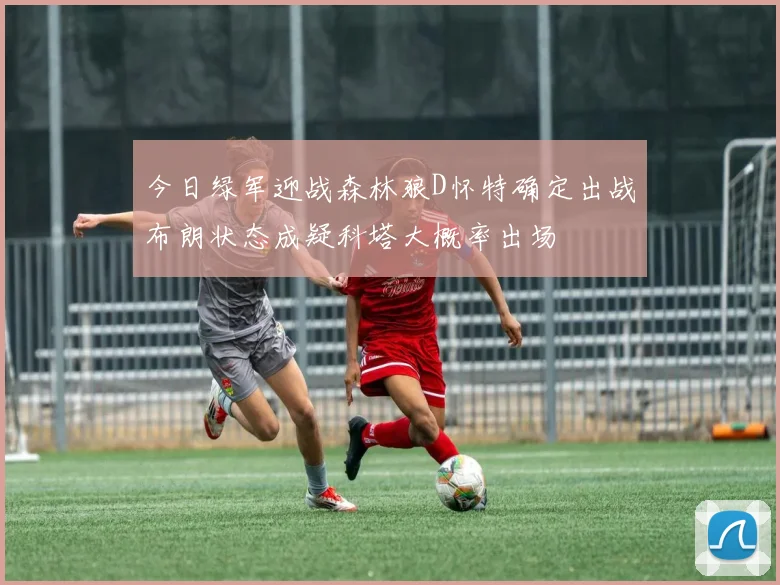 今日绿军迎战森林狼D怀特确定出战布朗状态成疑科塔大概率出场