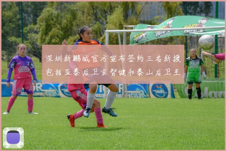 深圳新鹏城官方宣布签约三名新援包括亚泰后卫玄智健和泰山后卫王昱衡