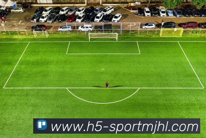 数据防护可视化